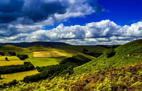 Greens, grass, clouds, trees, field, UK, Ladybower