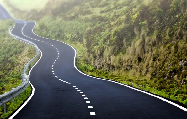 Road, grass, markup, haze