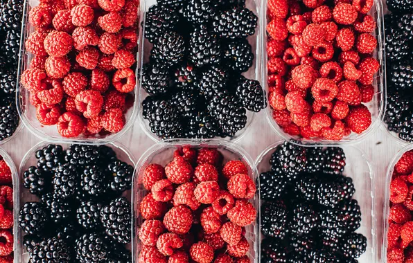 Picture berries, raspberry, container, a lot, BlackBerry