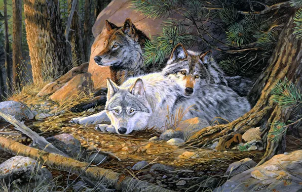 Forest, look, branches, figure, picture, art, three, wolves