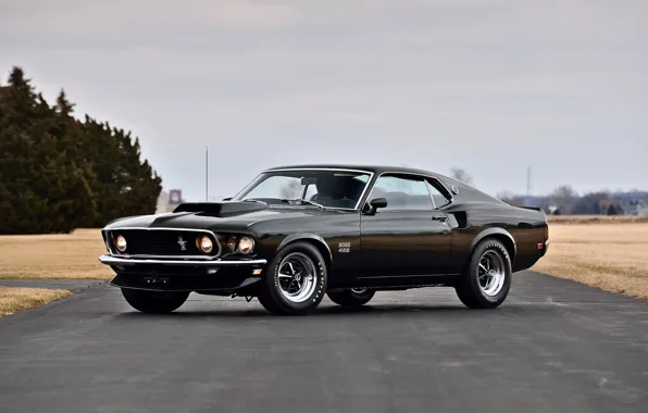 Picture Mustang, 1969, Boss 429