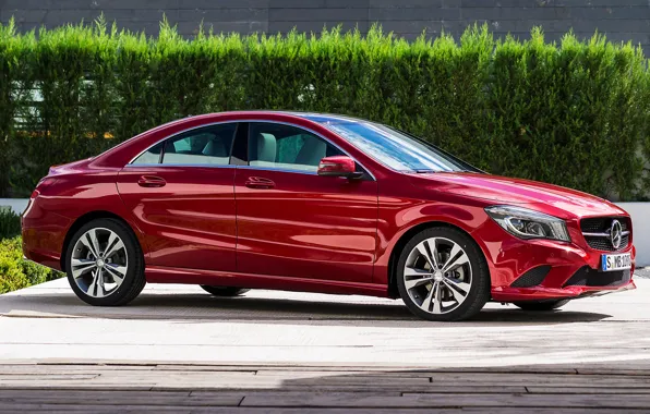 Picture greens, the bushes, new, Mercedes Benz, 2014 Mercedes Benz CLA 250