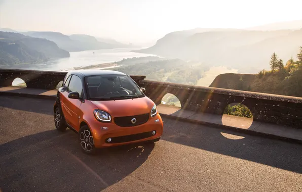 Picture Smart, 2015, Fortwo, smart, C453