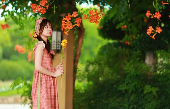 Beautiful, Asian, Model, Tree, Flowers, Woman, Cute, Pretty