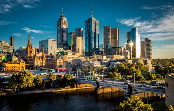 Trees, bridge, river, building, home, skyscrapers, Australia, Sunny