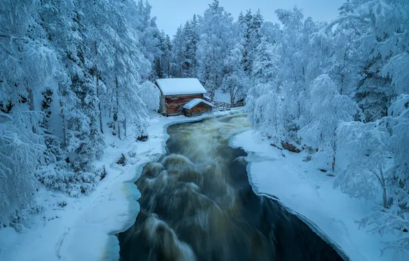 Winter, forest, snow, river, mill, hut, Finland, Finland