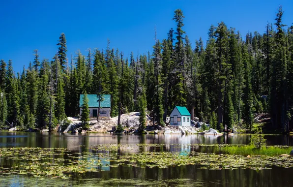 Picture forest, the sky, the sun, trees, lake, stones, shore, CA