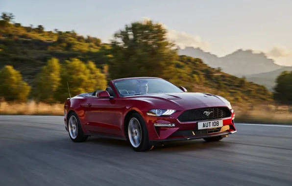 Picture road, Ford, convertible, 2018, dark red, Mustang Convertible