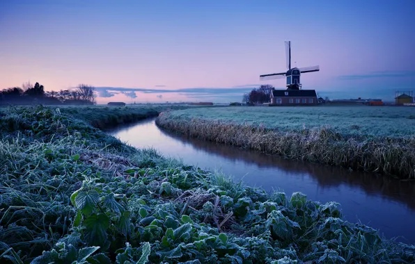 Picture winter, frost, field, the sky, trees, dawn, morning, mill