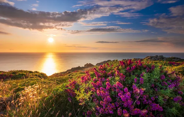 Picture sea, the sky, clouds, sunset, flowers, blue, dawn, hills