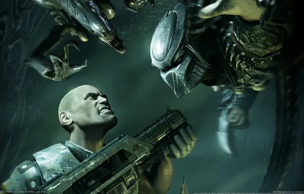 Wallpaper weapons, people, predator, stranger, machine, aliens vs