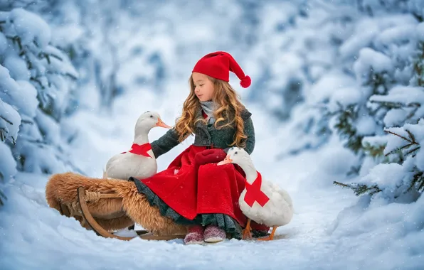 Winter, forest, snow, birds, duck, girl, sleigh, Anastasia Barmina