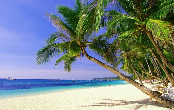 Beach, palm trees, the ocean
