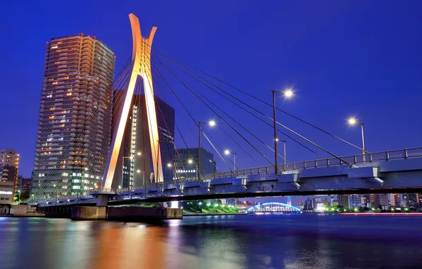 Picture the sky, night, bridge, lights, river, home, skyscrapers, Japan