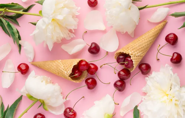 Picture flowers, petals, white, white, horn, cherry, flowers, beautiful