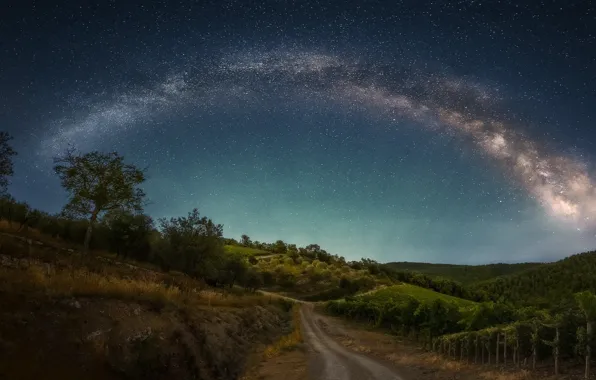 Road, the sky, stars, nature, Italy, the milky way, Ole Henrik Skjelstad