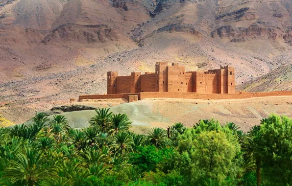 Mountains, palm trees, fortress, Morocco, Kasbah Timidarte