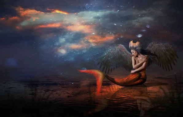 Girl, night, mermaid, fantasy, pond, LINGDUMSTUDOG