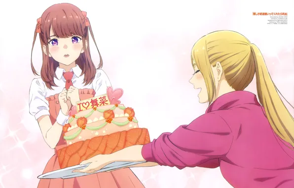 Gift, surprise, cake, white background, cream, tray, two devushi