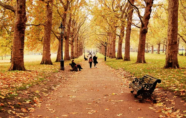 Picture autumn, leaves, trees, landscape, bench, nature, children, people