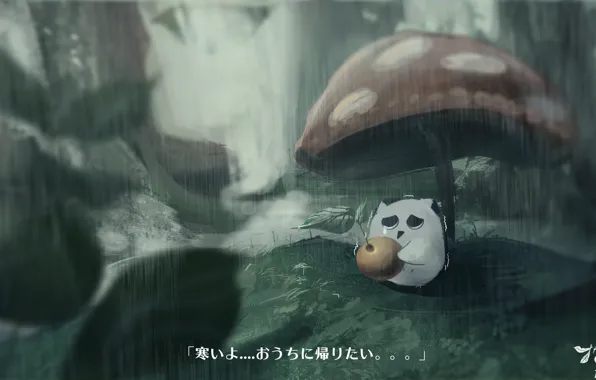 Rain, mushroom, cherry, owlet, sad