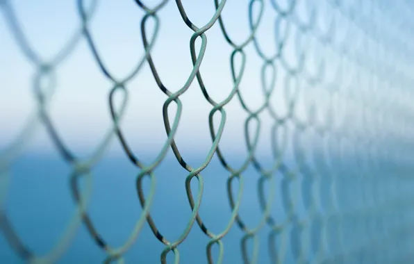 Macro, background, the fence, netting