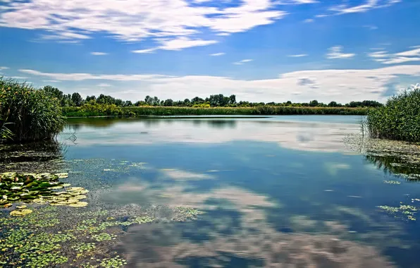 Picture landscape, nature, lake, Hungary, Tisza