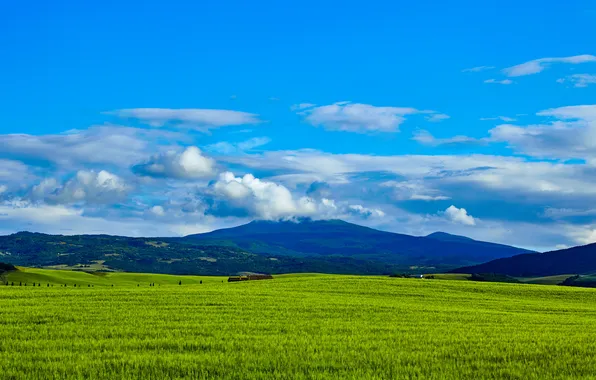 Greens, the sky, grass, clouds, mountains, field, space, Italy