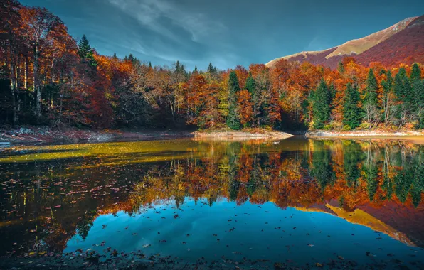 Autumn, forest, trees, mountains, lake, Sunny, Montenegro, Lake Biograd