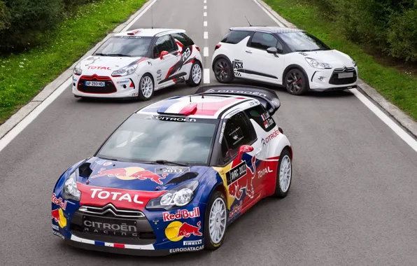 Road, sport, Citroen, Citroen, car, racer, rally, WRC