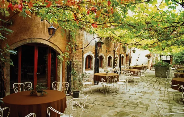 Leaves, Italy, cafe