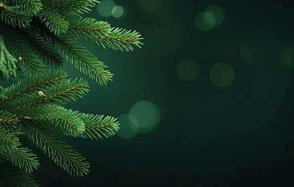 Branches, spruce, Christmas, New year, tree, needles, green background, coniferous