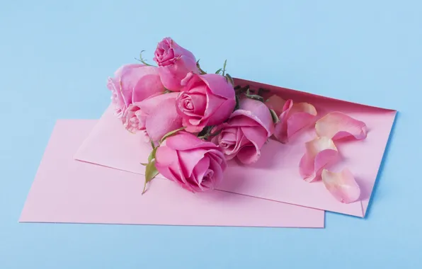 Flowers, roses, pink, pink, flowers, beautiful, romantic, letter