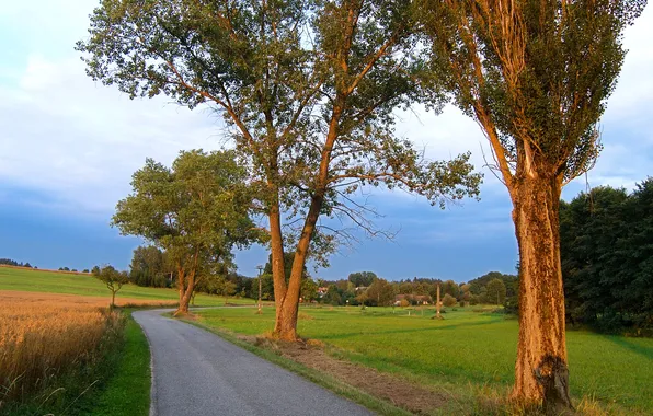 Road, field, trees, Czech Republic, village, roadside, Kačlehy