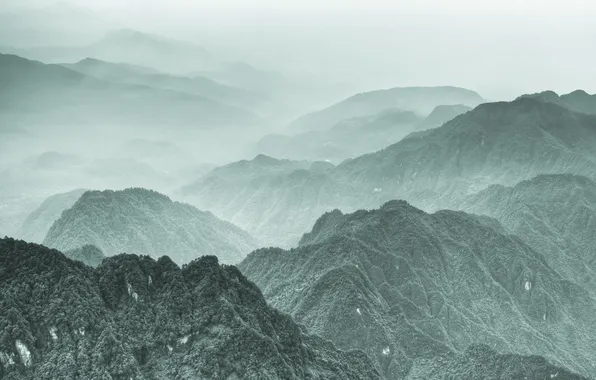 Clouds, trees, mountains, fog, China
