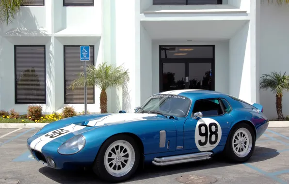 Blue, Shelby, Cobra