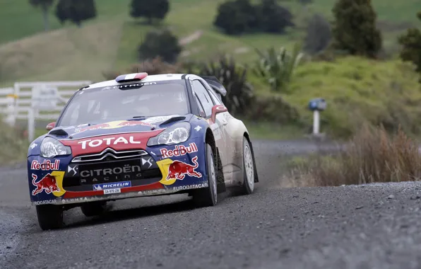 Citroen, Red Bull, DS3, WRC, Rally, Rally, The front, Total
