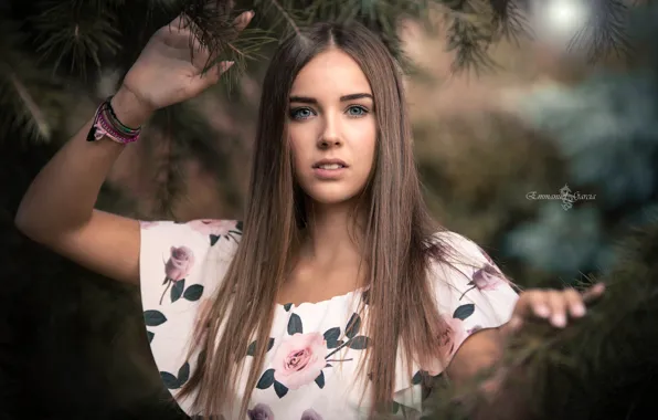 Picture look, girl, model, brunette