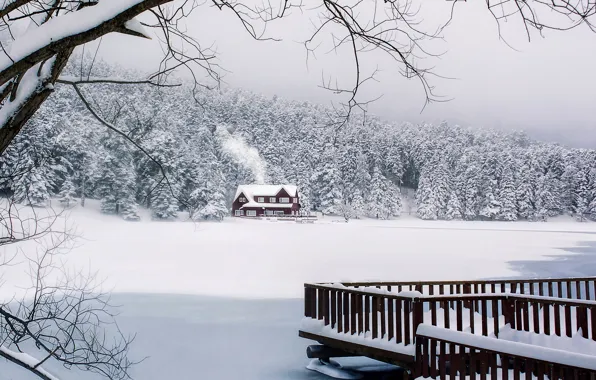 Winter, forest, snow, house, Turkey, Turkey, Geljuk, Pool