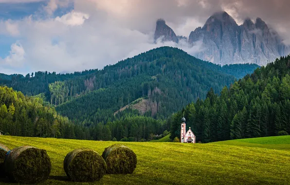 Field, forest, clouds, mountains, the slopes, tops, Alps, hay