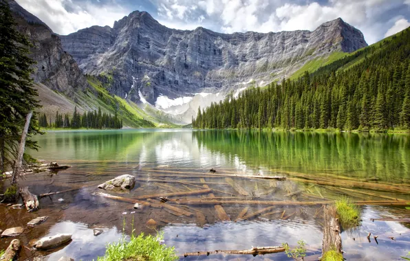 Forest, mountains, lake, rocks, shore, the bottom, pond, logs