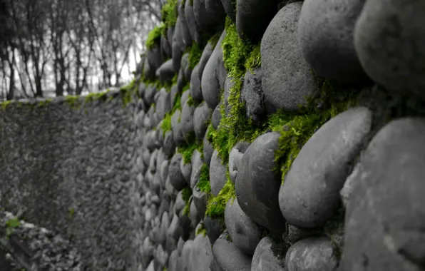 Picture greens, grey, stone, color, masonry, Moss