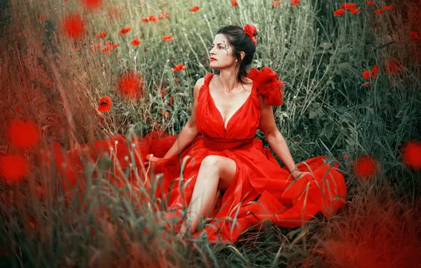 Field, chest, summer, look, girl, flowers, nature, pose