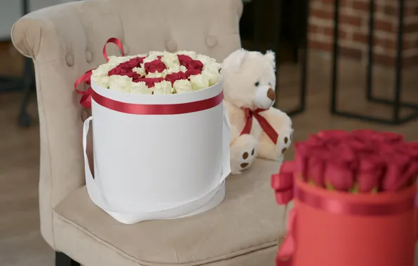 Flowers, box, toy, roses, bouquet, chair, bear, bear