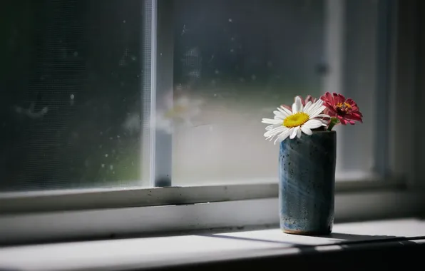 Picture flowers, home, window