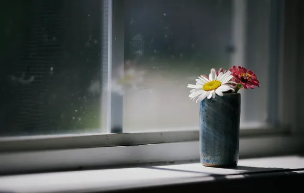 Picture flowers, house, window