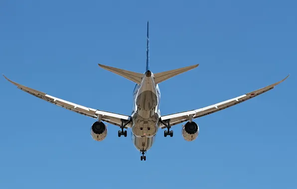 Aviation, the plane, ANA 787