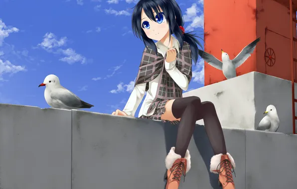 Birds, seagulls, scarf, art, girl, sitting, sakura yuuya