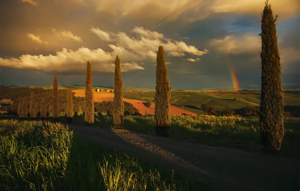 Picture road, field, trees, sunset, hills, the evening, meadow, Italy