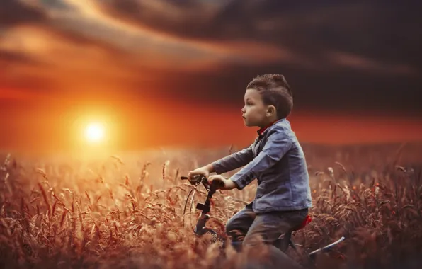 Field, sunset, bike, mood, boy